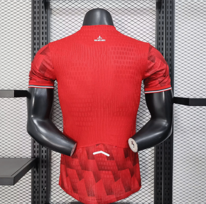 2526 Lille home player edition jersey - Image 6