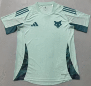 2526 Cruzeiro training jersey fan version jersey