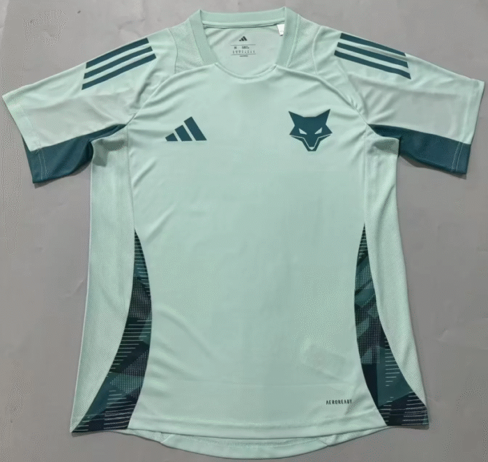 2526 Cruzeiro training jersey fan version jersey - Image 1