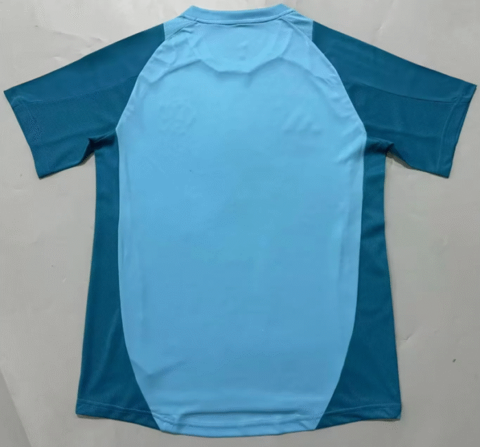 2526 Flamenco Blue Training Suit Fan Version Jersey - Image 3