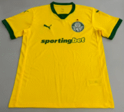 2526 Palmeiras' second away football shirt and jersey