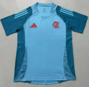 2526 Flamenco training uniform sky blue football shirt