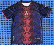 2526 Paris Champions Edition T-shirt, red and blue football shirt